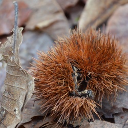 2016-12 France/Rumilly/DSC_0025.JPG